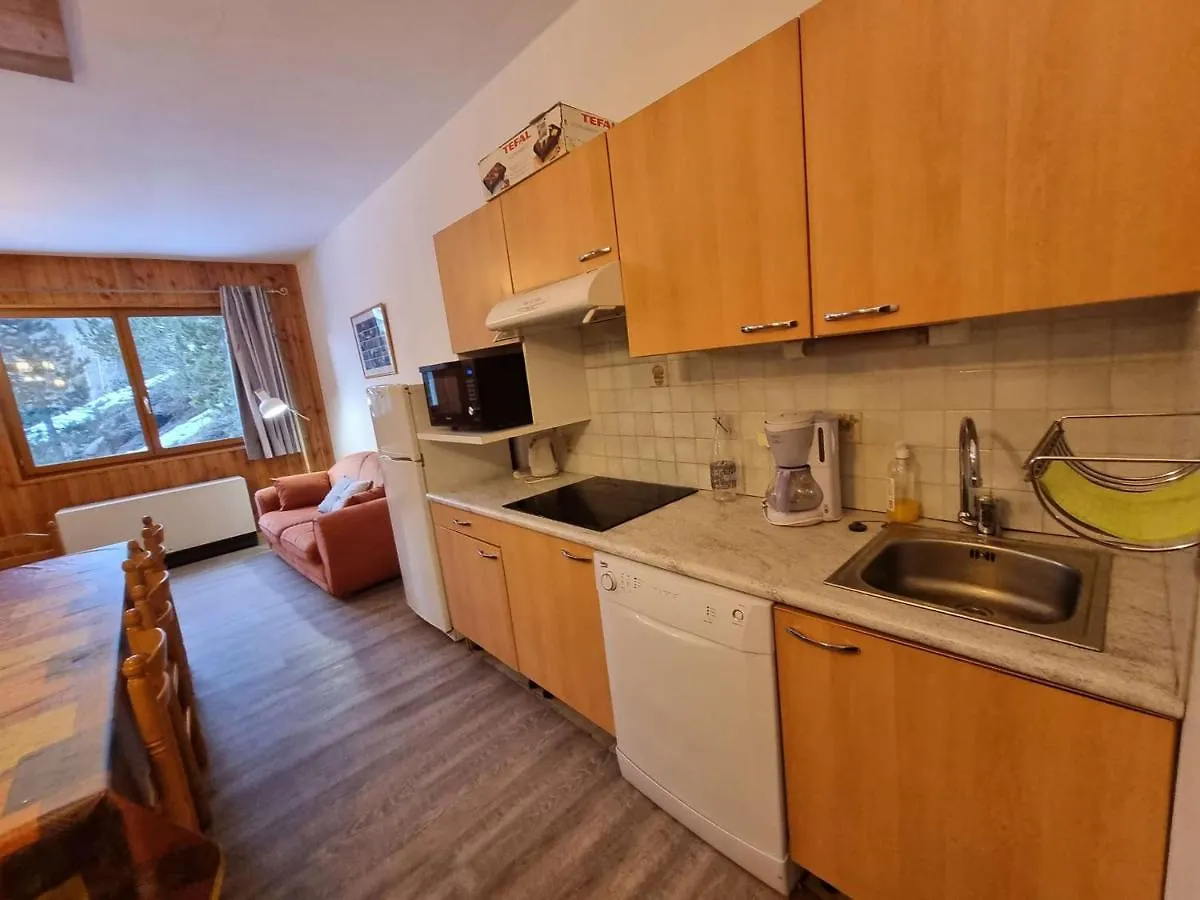 Appartement Spacieux Pour 10 Pers, A 100M Des Pistes, Wifi Gratuit, Animaux Admis - Saint-Michel-De-Chaillol - Fr-1-393-42 0*,  法国